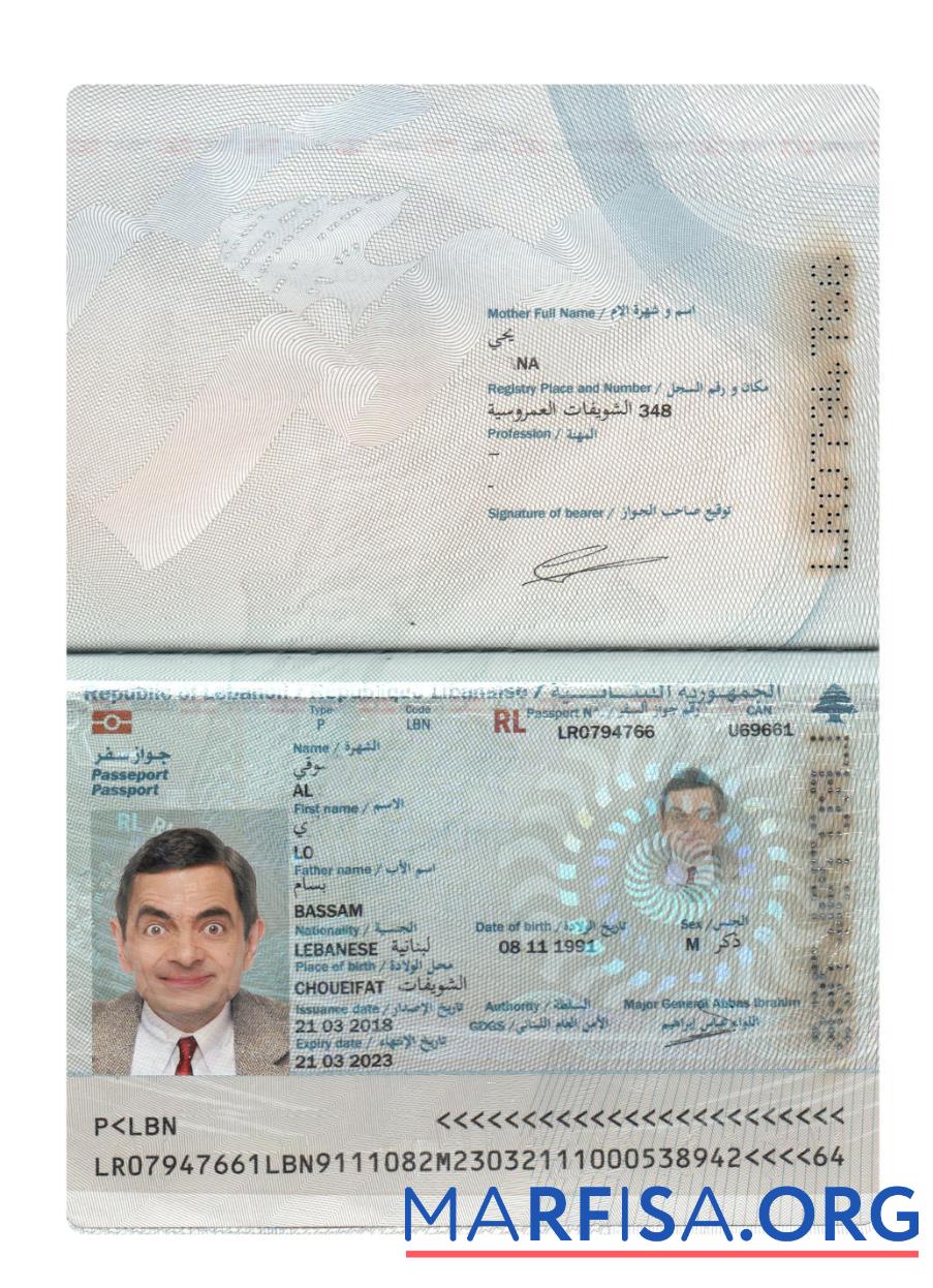 Downloadable Lebanon passport 2018 present real example
